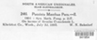 Puccinia menthae image
